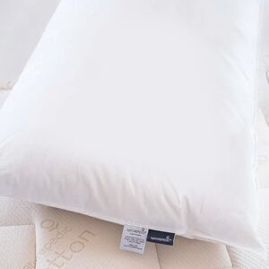 Naturepedic Down Pillow Queen 750 Fill Power Duck Down Non-Toxic Organic Cotton